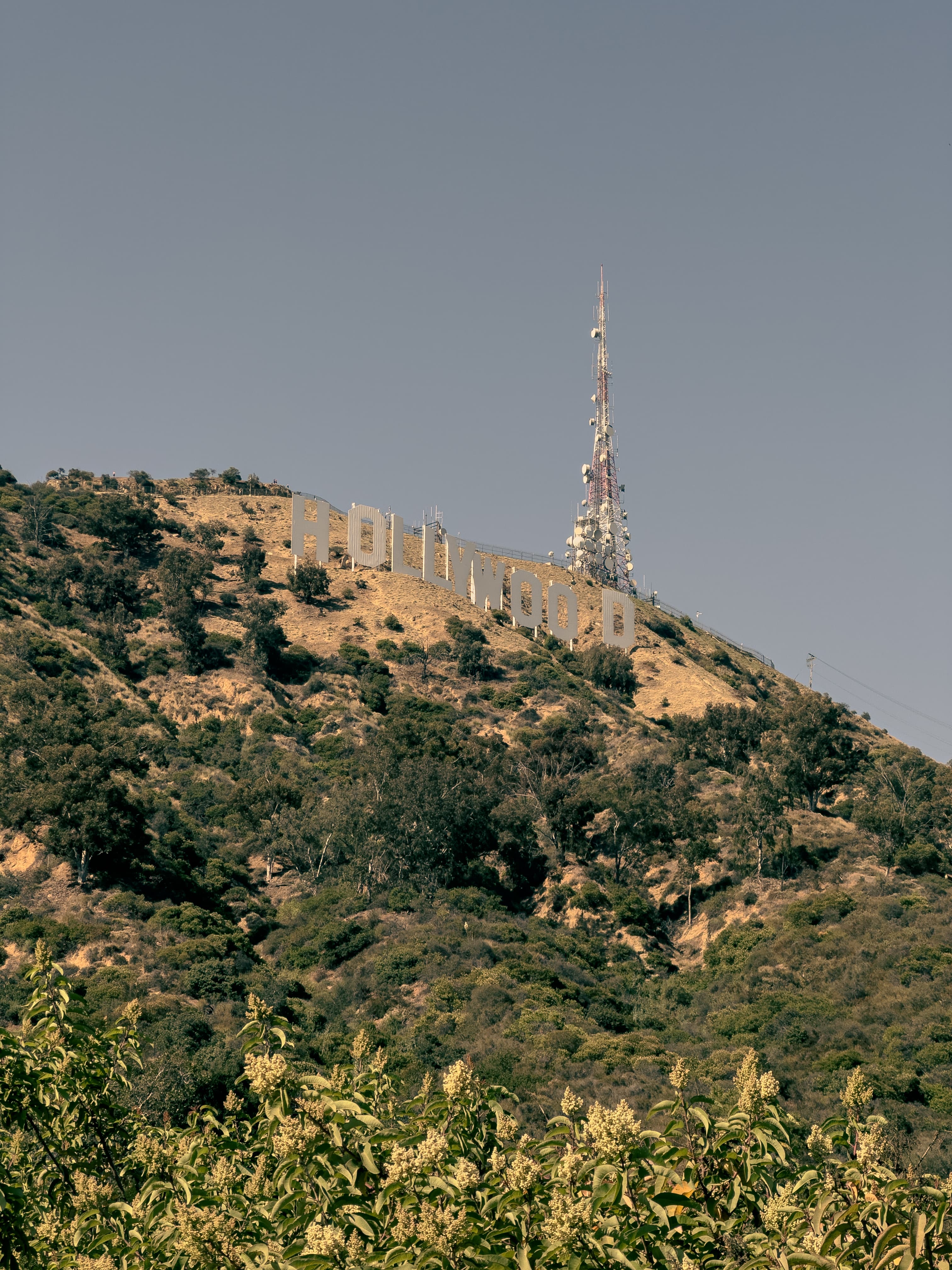Hollywood Sign