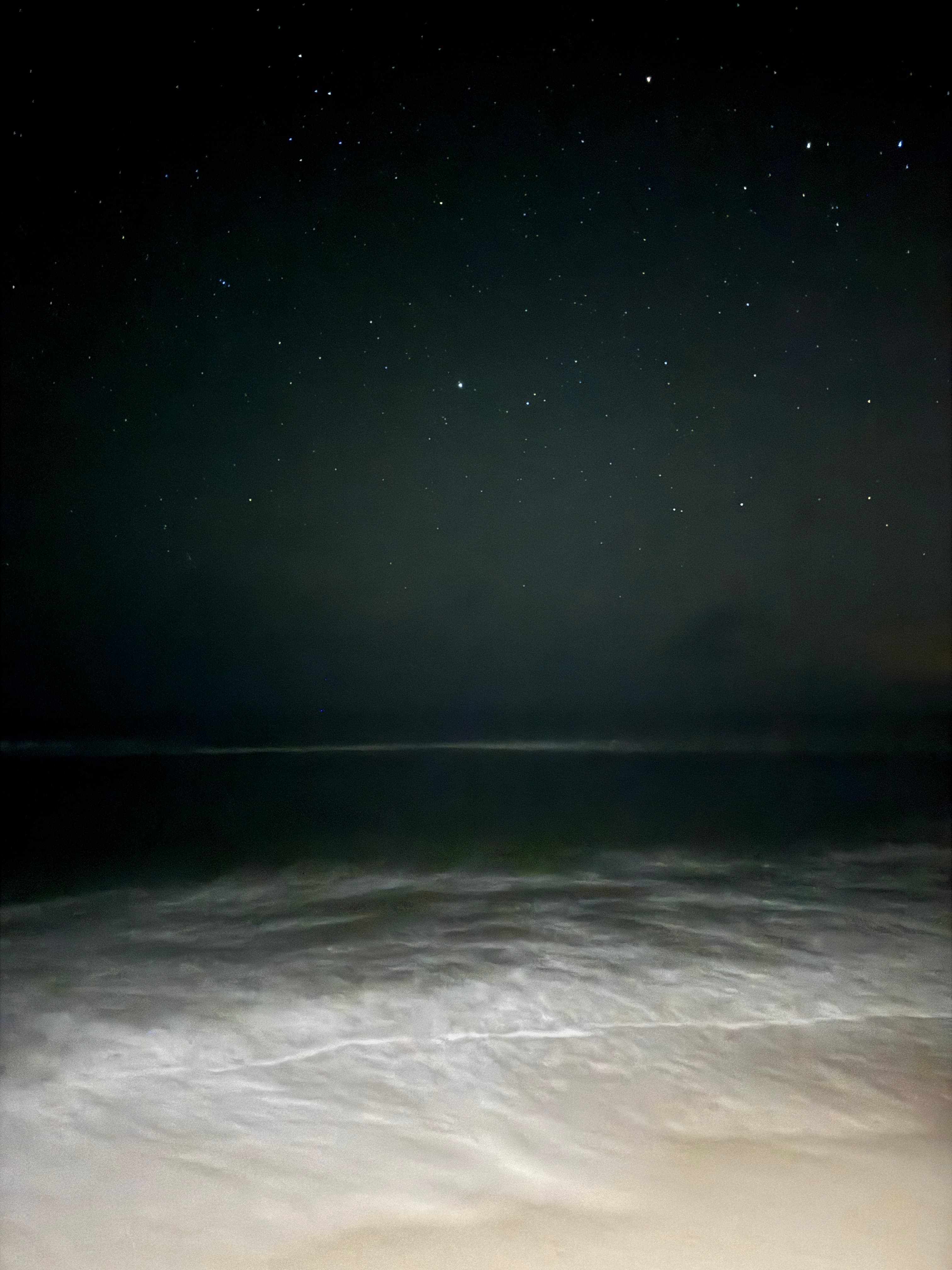 Palmer Beach — Frame II