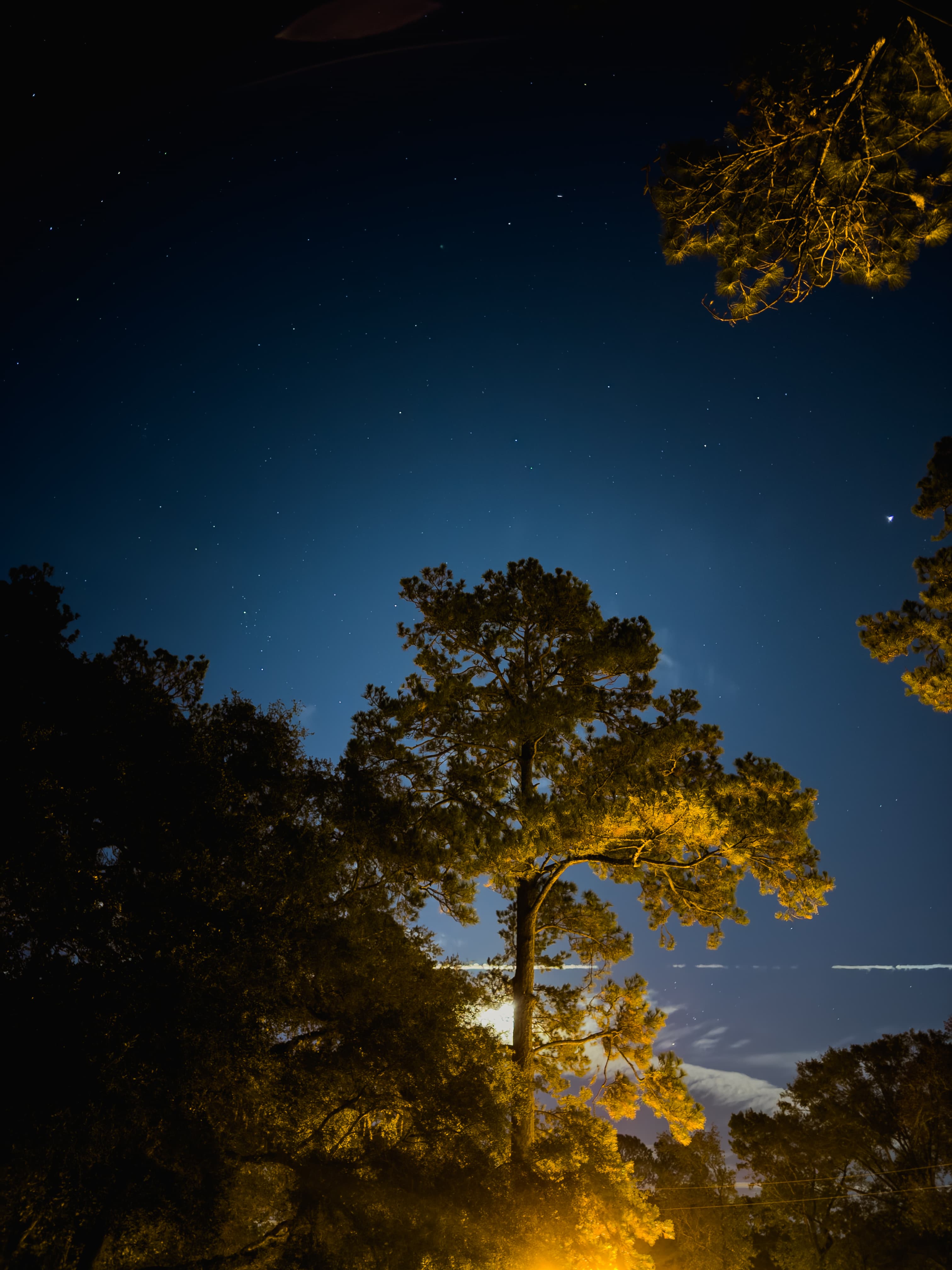 Tallahassee Night Sky